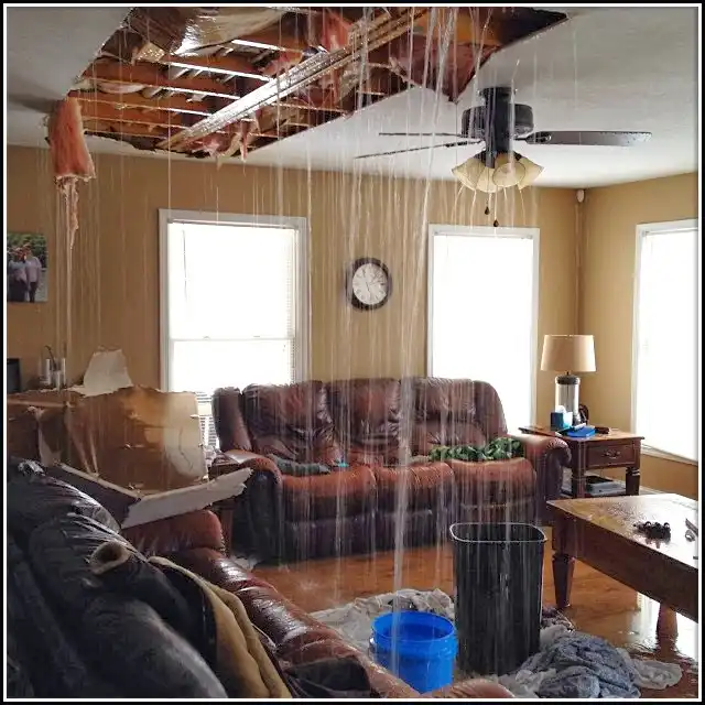 Water Damage Restoration services in Mount Carmel, TN