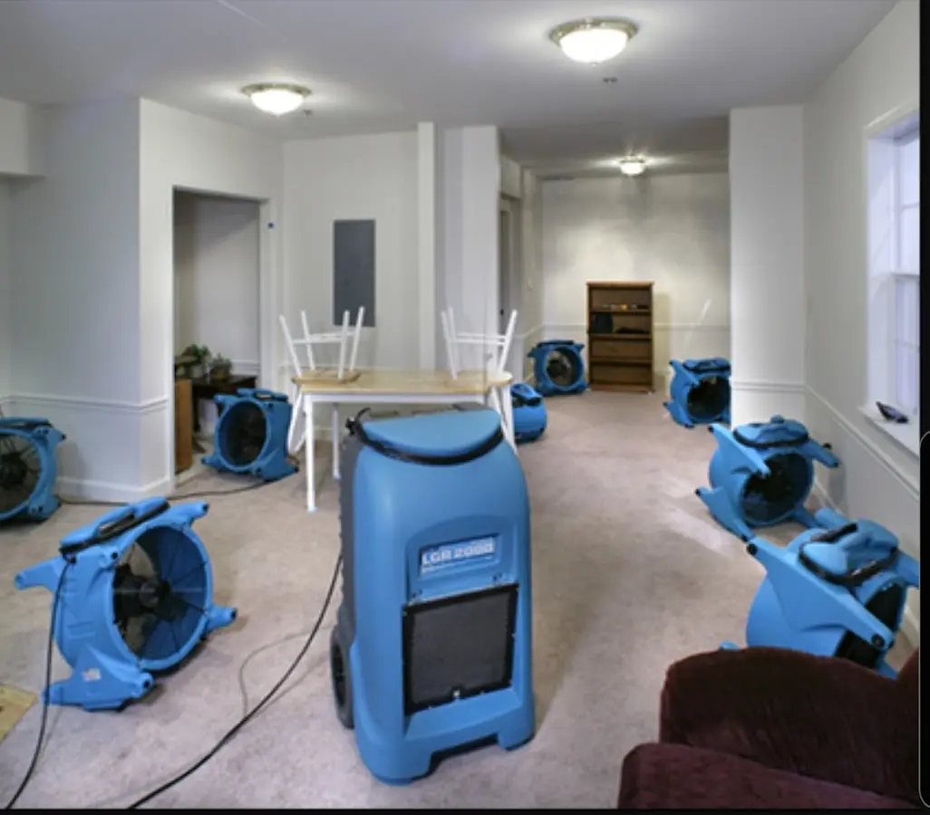 Air movers and dehumidifier setup for Water Extraction & Removal in Mount Carmel