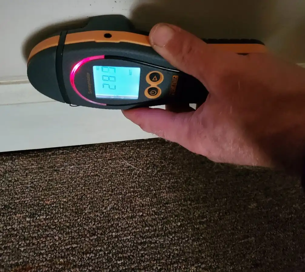 Moisture detection at baseboard during Sewage Cleanup & Sanitation in Mount Carmel